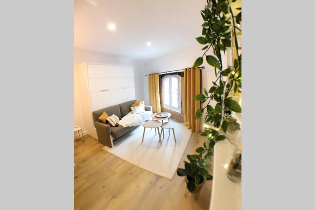 Le Floral - Hypercentre Capitole # Parking Prive # Queen Size Тулуза Экстерьер фото
