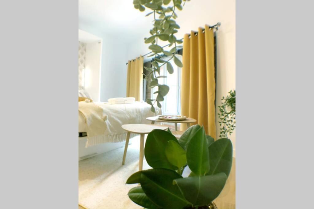 Le Floral - Hypercentre Capitole # Parking Prive # Queen Size Тулуза Экстерьер фото